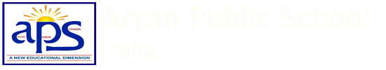 Aryan Public School